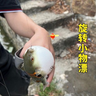 Rotating small float high sensitivity float fish float shallow water anti-water stream small white stripe carp ice fishing small fish special