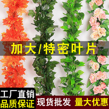 ���پG�~�ٻ��ٗl�����~��ֲ����~�G�}�bGֲõ������