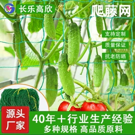 其他安全网;养殖网;其他垂钓用品