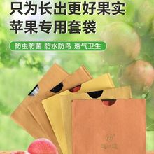苹果专用桃袋双层枇杷芒果水果果袋防水防虫套袋袋子透气加厚