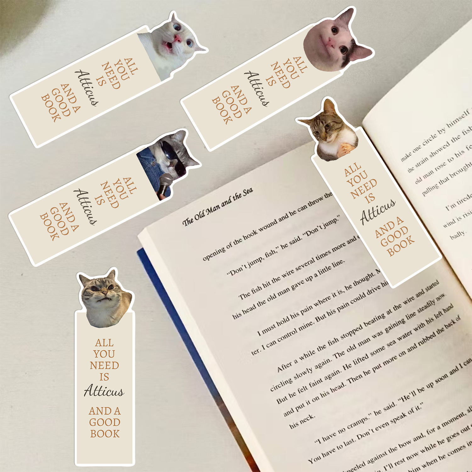Un Paquet De 30 Lettre Chat L'École L'Obtention Du Diplôme Papier Mignon Bookmark display picture 5