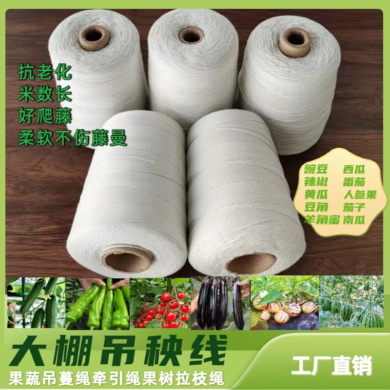 绑豌豆架线吊番茄西红柿黄瓜大棚蔬菜吊绳绑蔓吊秧夹子绳吊蔓绳子