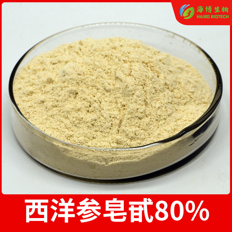 西洋参皂甙80% 西洋参粉 西洋参提取物 海博供应 量大从优 包邮