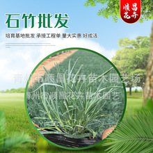 ʯ����ľ �����޸��ݻ����س��ۚWʯ�� �G����ľ�ر�ʯ��