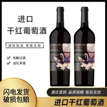 澳大利亚进口 干红葡萄酒 新品15.7度750ml送礼酒吧直播代发批发