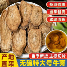 牛蒡根茶500g牛蒡茶中药材正品新鲜黄金牛旁干牛棒片榜