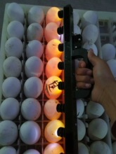 �ֳ��յ���10ö����u���Z�N�����������P����䓻���