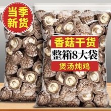 ��؛�r���㹽��؛�o�����o��Ʒ�㹽��Ͼ������������Ҝ�ʳ��