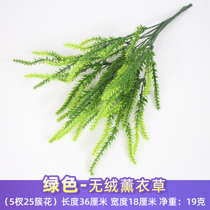 Lavanda verde sin pelusa