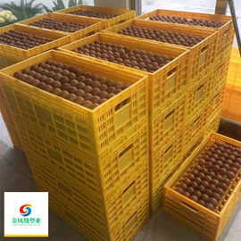 塑料桶;其他塑料包装;塑料箱