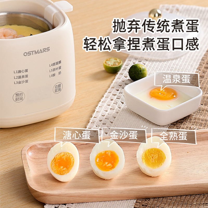 多功能早餐機蒸蛋器自動斷電溏心蛋溫泉蛋家用迷你煮蛋器批發代發