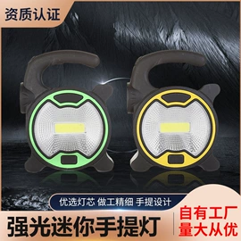 提灯;手电筒;野营/露营灯