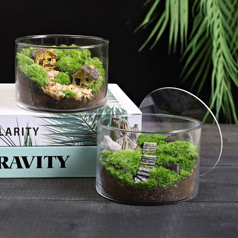 12c мох Прямая бутылка микро-ландшафтная эко-бутылка мха творческие растения DIY офис рабочий стол декомпрессионный небольшой горшок