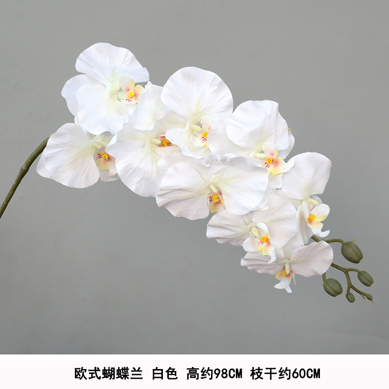 Silk Cloth European Phalaenopsis-White