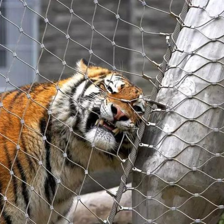 不锈钢防护网动物笼舍绳网阳台防坠网高空多股编织卡扣安全防护