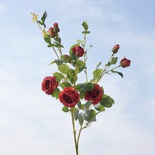 ���滨õ��ŷʽ��ͷ����õ����滨�ٻ��Ҿӻ�����װ��Ӱװ�ξ