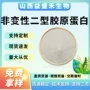免疫关节变性胶原蛋白软骨粉