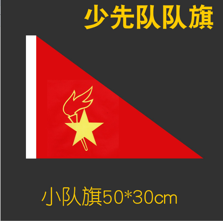 Cờ đội (50*30 cm)