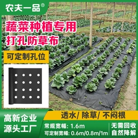 纺粘无纺布;工农业塑料;土工布