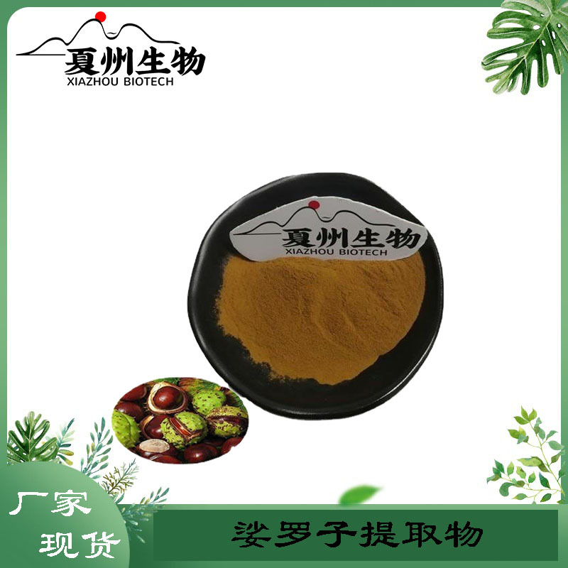 娑罗子提取物 叶皂甙 10/20/30:1规格  夏州生物 现货供应 公斤装