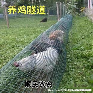 �����B�u�Bֳ�ߵ��u���õ��ܵ��Ƅ��������_�u�\��ɢ�B�u��