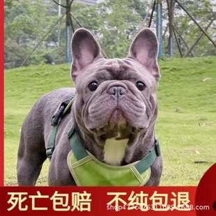 ���N������ȮС��Ȯ���B���ﹷ�����w���ﹷ������ţȮ������Ȯ