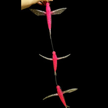�F؛�����w�C�~�׽M����ܛ�D�˒�O�����~TUNA���~�D70cm�L