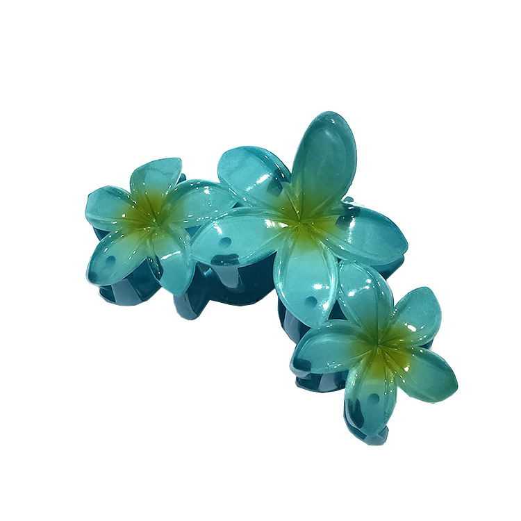 国境を越えたアマゾンの卵の花がグラデーションの花のキャンディー色の紫荊花の後頭部をつかんでサメの花を挟んで髪を伸ばします。|undefined