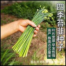 ļ̦·NӾ²̦NóļײN߲˷N