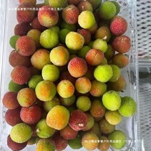 (��t��÷���r)����÷�t��÷��l��ˮ���ݾ����ԛ�����ˮ�����lƷ