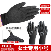 ŮʿС�����ư뽺����Ů�ɻ����ĥ԰�մ���ɻ��Ͷ��ͱ�����