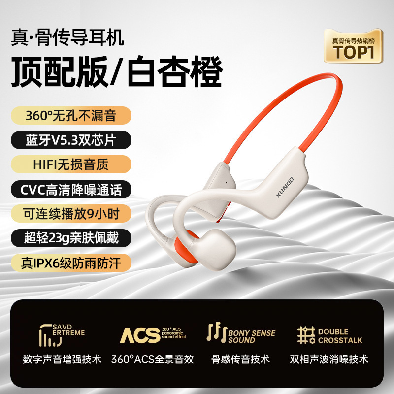 真骨传导蓝牙耳机运动型跑步骑行防水不入耳游泳挂耳式新款SZ|undefined