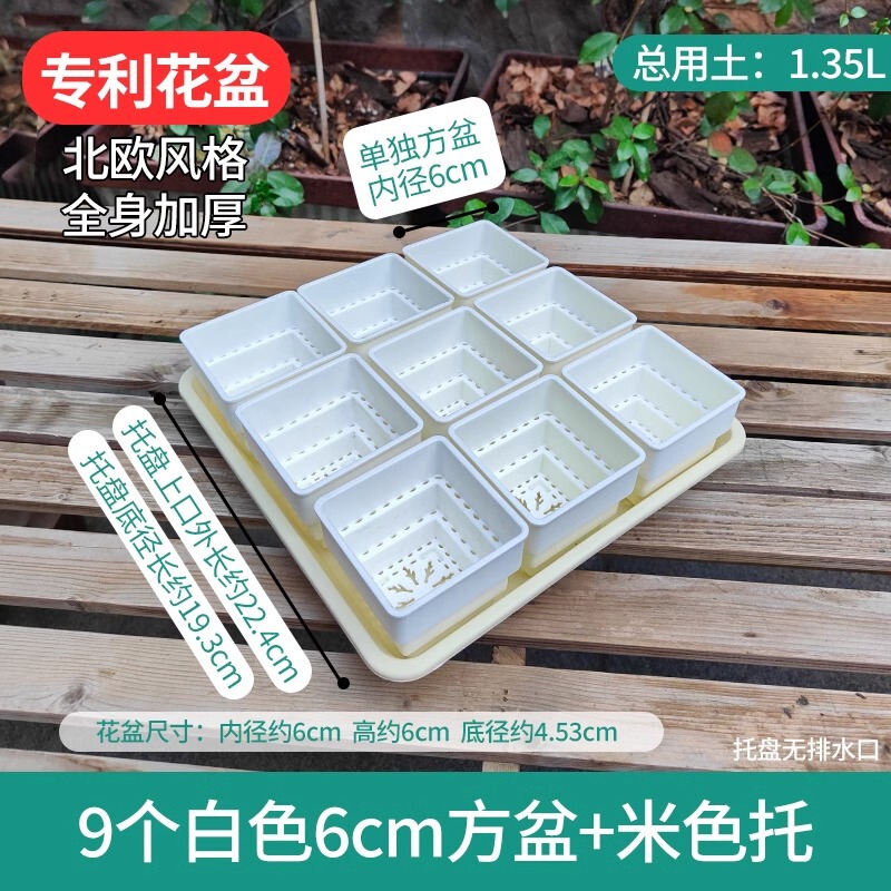樹脂多肉植木鉢大口径小白角コンビネーション台座付きトレープラスチック通気植物専用根付き鉢|undefined