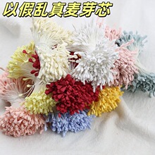 ���ﻨоŤŤ���ֹ����Ϸ���ʯ��Ϟ���ɻ��p���Sɫ��ѿ����