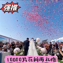 10000片花瓣雨震撼效果结婚礼炮婚礼花手拧喷花筒婚庆用品 礼花筒