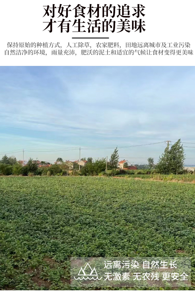 1f8f94ff-dad0-4c2b-a4de-0b2a7c253d56.jpe