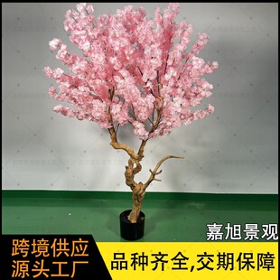 Cherry blossom tree�҃ȾƵ��Y��������ѻ����辰 ����ѻ���