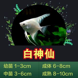 �߲������~С�͵�ˮ�~�t�^��ɫ�ڰ��~С���͟Ꭷ�~�^�p�~���~