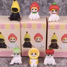 ���� ä�� �㽶 ��ݮ ˮ��COS׃�b��؈ �O�� ���� �~؈  Q�� 6��