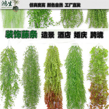 �߷��洹���ٗl�Gֲ ��Y�b���~����������G��ֲ����b�