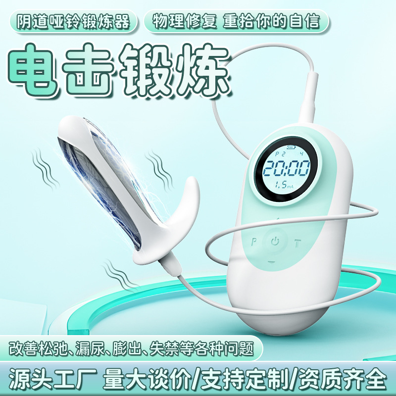 Sihande S524 Women's Postpartum Pelvic Floor Repair Device, Rechargeable Women's Pelvic Rehabilitation Training Instrument, Pelvic Muscle Trainer