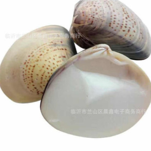 ��Ʒ�χ�؛�������o��˪�������Ѹ����Ͱ������������ѿ���ؐ��