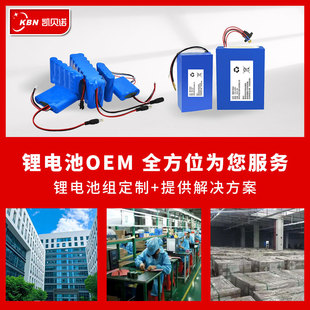 電動車鋰電池48v 工廠定制大容量跨境和國產高倍率方案批發鋰電池