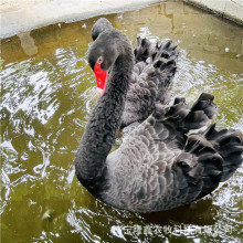 �F؛���ۺ����Z����w �����^�p�����Z�r�� �^�pˮ�ݺ����Z������