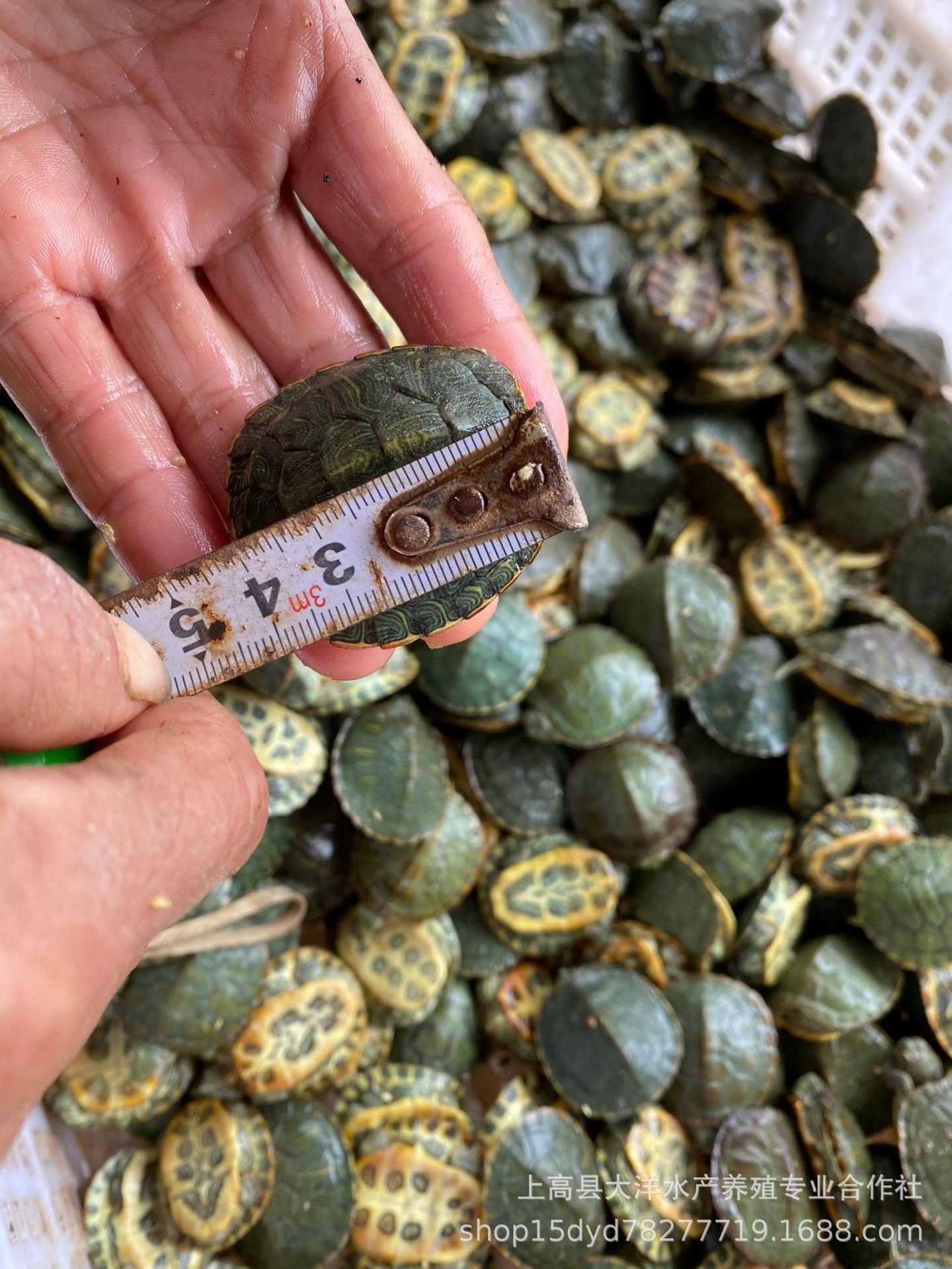 29d379eee5fba3424a8327dcc58de2