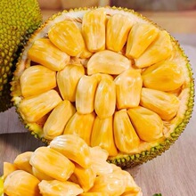 菠萝蜜海南黄菠萝蜜一整个新鲜当季水果树菠萝水果新鲜整箱一代发