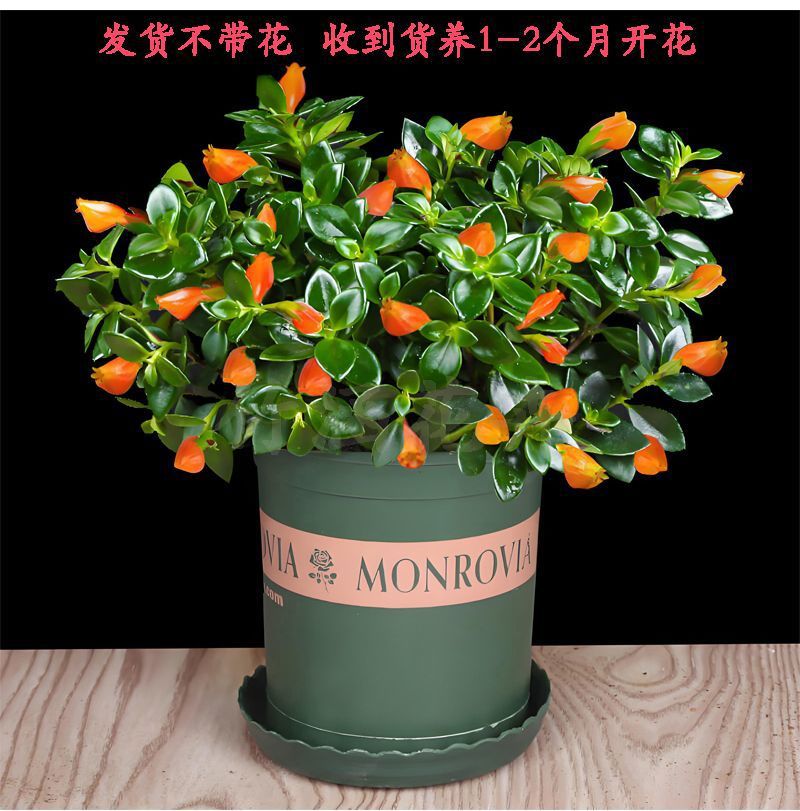 98a15cc5-ad7d-45cc-b7d0-b013194cfd2c.jpe