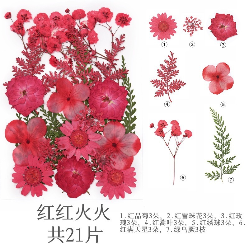 파이어리 레드(21송이)