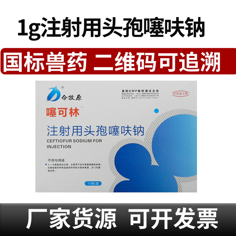 Veterinary Drug for Injection: Cefthiafure Sodium 1g Pure Cephalosporin for Pigs, Cattle, and Sheep Postpartum Use Wholesale Veterinary Drug for Injection: Cefthiafure Sodium 1g Pure Cephalosporin for Pigs, Cattle, and Sheep Postpartum Use Wholesale