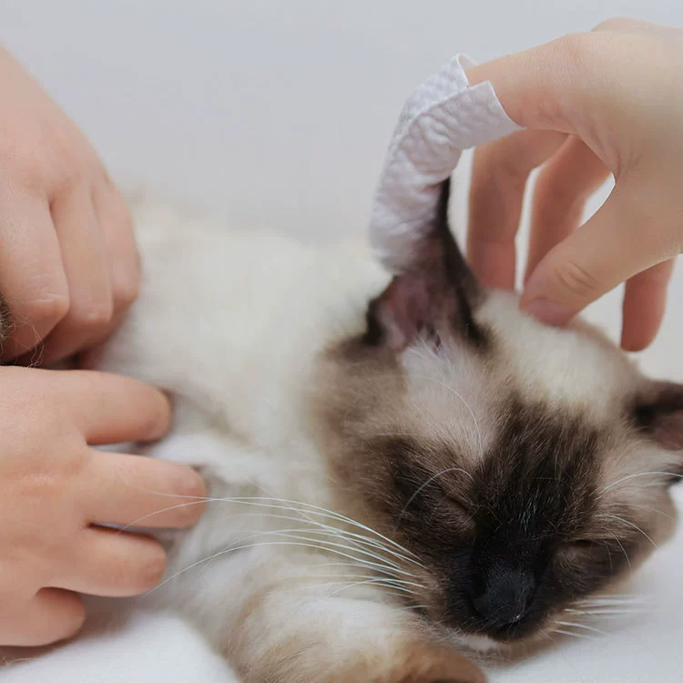 Салфетки для чистки ушей и глаз питомцев от слезных пятен, одноразовые перчатки и чистящие напальчники для кошек и собак от производителя.